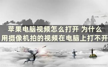 苹果电脑视频怎么打开 为什么用摄像机拍的视频在电脑上打不开